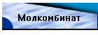 Молкомбинат